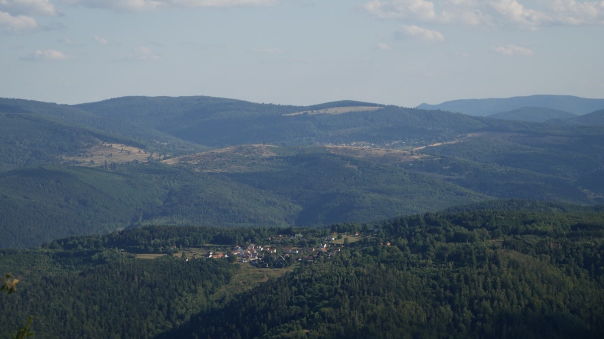 a landscape with trees and hills